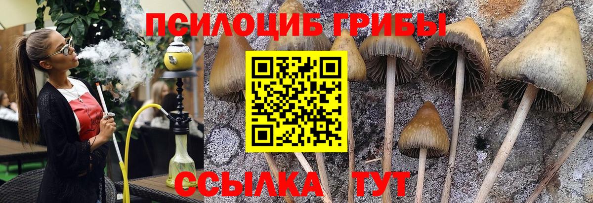 Гулькевичи  Псилоцибиновые грибы Magic Shrooms  Галлюциногенные грибы Magic Shrooms  Вход с VPN 