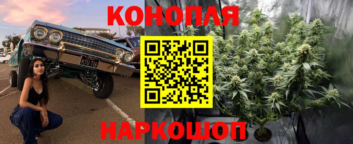 Бошки Шишки AK-47 Гулькевичи